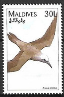 Maldives - MNH ** 1997 :  Brown Noddy  -  Anous Stolidus - Möwen