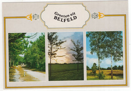 Groeten Uit Belfeld - (Venlo, Limburg, Nederland/Holland) - Nr. 794 - Natuur - Venlo