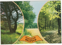 Groeten Uit Belfeld - (Venlo, Limburg, Nederland/Holland) - Nr. 786 - Natuur - Venlo