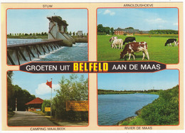 Groeten Uit Belfeld Aan De Maas: Stuw, Arnoldushoeve, Camping Maalbeek, Rivier De Maas - (Venlo, Limburg, Nederland) - Venlo