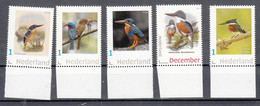 Nederland Persoonlijke Zegels: Vogels, Bird, IJsvogel, Kingfischer , 5x - Unused Stamps