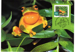 ✅ " ORANGE-THIGHED TREE  FROG " Sur Carte Maximum Et PAP Neuf D'Australie De 2003. Parfait état. CM - Rane