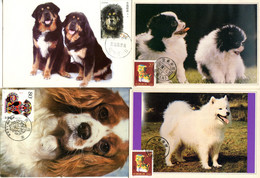 CHINA PRC - Four (4) MXIMUM CARDS With Pictures And Stamps Of DOGS. All Unaddressed. - Lots & Serien