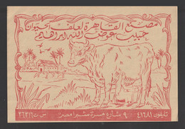 Egypt - RARE - Vintage Label - ( Cairo Feed Factory ) - 20x14 Cm - Storia Postale