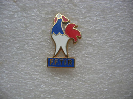 Pin's FFTIR (Fédération Francaise De Tir). Coq Francais - Tir à L'Arc