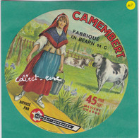 A89 FROMAGE CAMEMBERT AGRILAIT SERRES MORLAAS BASSES PYRENEES - Cheese