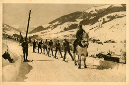 Megève * Sports D'hiver , Skikjoring * Cheval - Megève