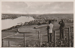 AK Nierstein Am Rhein (58728) - Nierstein