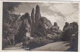 CARTOLINA  ALTONA-STELLINGEN HAMBURG,GERMANIA,CARL HAGENBACK"S TIERPARK,HOCHGEBIRGS-PANORAMA,NON VIAGGIATA - Stellingen