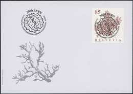 Suisse - 2021 - Bäume - Ersttagsbrief FDC U1 ET - Ersttag Voll Stempel - Brieven En Documenten