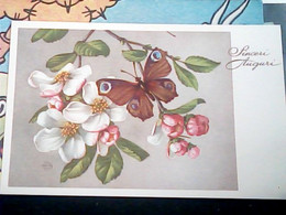 ILLUSTRATA FARFALLA PAPILLON E FIORI  N1950 IK2364 - Papillons