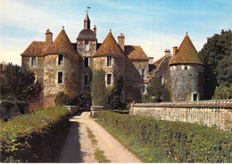 89 - Treigny - Le Château Fort De Ratilly (XIIe Siècle) - Porte Et Pont Levis - Treigny