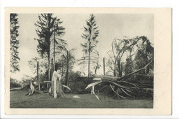 29515 - Les Breuleux Le Cyclone Dans Le Jura Bernois Forêt Détruite Près Les Breuleux 12 Juin 1926 - Les Breuleux