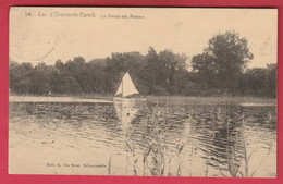 Overmeire-Donck - Lac - Le Marais Des Roseaux -1924  ( Verso Zien  ) - Berlare