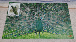 China 2021-28 (8-3)T Green Peafowl (Pavo Muticus) SELF-MADE Maximum Card - B01 - Paons