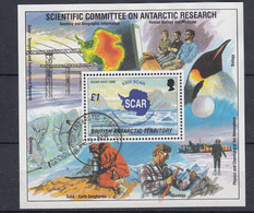 British Antarctic Territory 1996 Scar  M/s Used (57403) - Usati