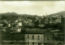 CAMPOCHIARO ( CAMPOBASSO ) PANORAMA - EDIZIONE STANZIANO - SPEDITA 1964 (8907) - Campobasso