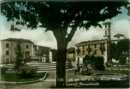 VINCHIATURO  ( CAMPOBASSO ) PIAZZA MUNICIPIO E FONTANA MONUMENTALE - EDIZ. LATAURO - 1966 (8910) - Campobasso