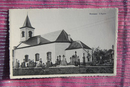 6246/STERPIGNY-L'Eglise-cimetière - Gouvy