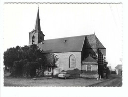 LIPPELO  -  Kerk - Puurs