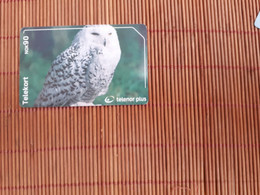 Owl Phonecard Only 40.000 Ex Made USED RARE - Eulenvögel