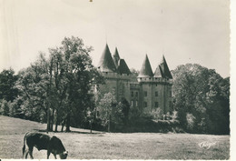 Lubersac (Corrèze)  Le Château XVe Siècle  Cpsm Format 10-15 - Other & Unclassified