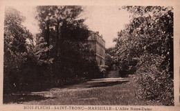 13 / MARSEILLE / BOIS FLEURI / SAINT TRONC / L ALLEE NOTRE DAME - Saint Marcel, La Barasse, Saintt Menet