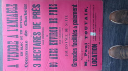 36-CHABRIS-RARE AFFICHE VENTE  3 HECTARES DE PRES AUX HOPITAUX-AUX CHAUMES-PAUL TOUTAIN NOTAIRE - Posters