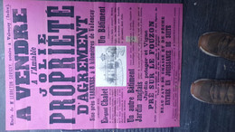 36-VALENCAY-TRES RARE AFFICHE  A VENDRE PROPRIETE AGREMENT CHALET VARENNES-LE FOUZON-IMPRIMERIE MELLOTTEE CHATEAUROUX - Posters
