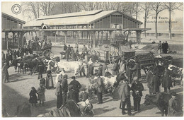 37-TOURS- Marché Aux Bestiaux... 1906  Animé - Tours