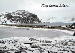 Antarctica King George Island New Postcard Antarktis AK - Altri