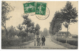64-PUYOO- Avenue Des Platanes... 1908  Animé - Sonstige Gemeinden