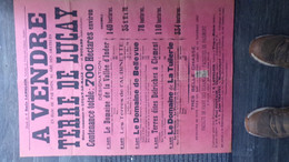 36- VICQ SUR NAHON -RARE AFFICHE VENTE  TERRE DE LUCAY LE MALE-NOUANS-37-DOMAINE VALLEE D' INDER-AUBINETTE 1923 - Plakate