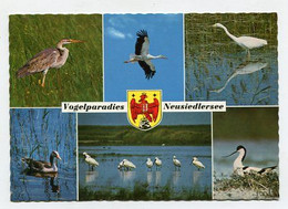 AK 020155 AUSTRIA - Neusiedlersee - Vogelparadies - Neusiedlerseeorte