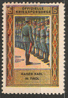 TIROL Soldier Occupation - AUSTRIA ITALY Kriegsfürsorge WW1 War LABEL CINDERELLA VIGNETTE Emperor Karl - Propagande De Guerre