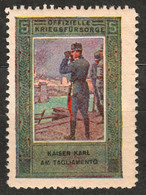 Tagliamento RIVER Soldier Occupation - AUSTRIA ITALY Kriegsfürsorge WW1 War LABEL CINDERELLA VIGNETTE Emperor Karl - Propagande De Guerre