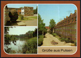 F4992 - TOP Pulsen Schule - Verlag Bild Und Heimat Reichenbach - Riesa