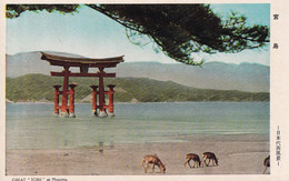 Miyajima - Great Torii - Hiroshima