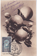 FDC - CARTE POSTALE 1 ER JOUR  - LES ORANGES - CACHET ALGER 9 MAI 1954 - 3° CONGRES INTERNATIONAL AGRUMICULTURE - FDC