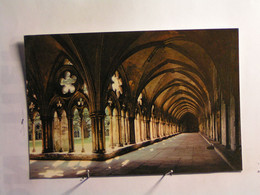 Salisbury -  Salisbury Cathédral - The Cloisters Walk - Salisbury