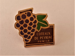 PINS BOISSON ALCOOL VIN VIGNE GRAPPE COTEAUX DE PEYRIAC / 33NAT - Boissons