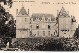 Mirambeau Animée Belle Vue Du Château - Mirambeau