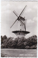 Tholen, Molen De Hoop - Tholen