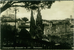 CAMPAGNATICO ( GROSSETO ) PANORAMA - EDIZ. MARTINI - SPEDITA 1950s (9005) - Grosseto