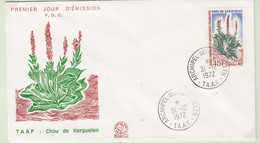 TAAF 1972 Chou De Kerguelen 1v FDC Ca Archipel Des Kerguelen  (TAF159) - FDC