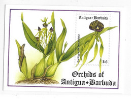 Antigua & Barbuda 1994 Orchid Flower Orchids Flowers S/S MNH - Antigua And Barbuda (1981-...)