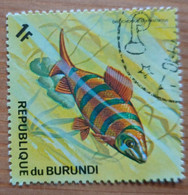 Distichodus Sexfasciatus/Distichodus Zèbre - (Poisson/Animaux) - Burundi - 1974 - YT 591 - Used Stamps