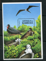 Antigua Et Barbuda - Bloc 246 -  - Oiseaux - Antigua Et Barbuda (1981-...)