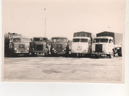 PHOTO 11X16  CAMIONS TRANSPORTS DUQUESNE PURINA NANCY 2 - Andere Gemeenten