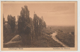 Lüneburger Heide, Sanddünen Bei Ehrhorn - Lüneburger Heide